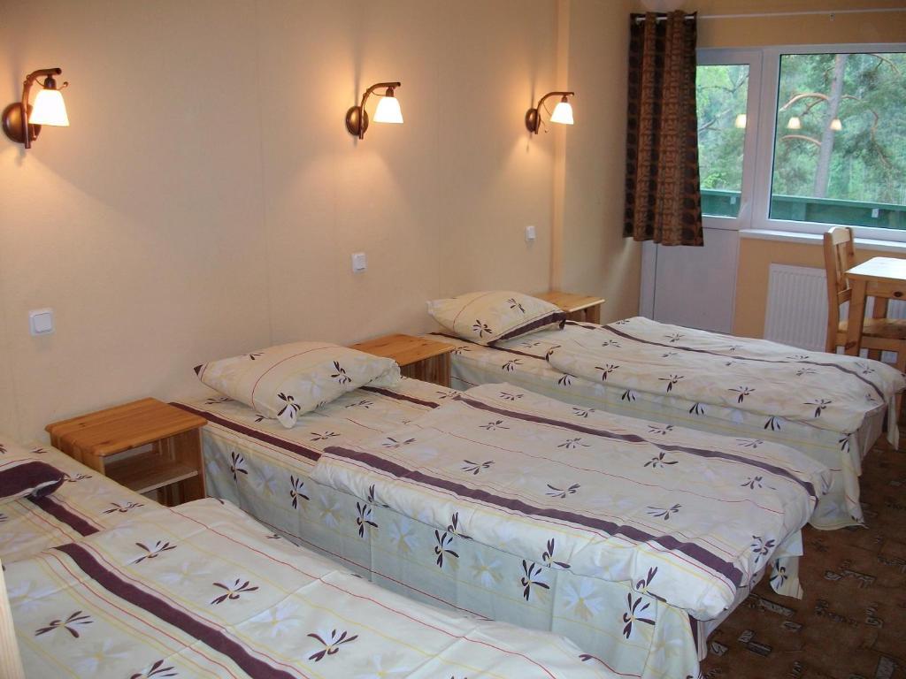 Nelijaerve Holiday Centre Аэгвийду Номер фото